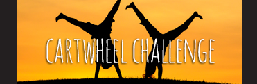 Cartwheel Donation